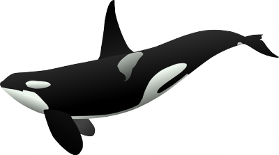 orca-23182_640.png