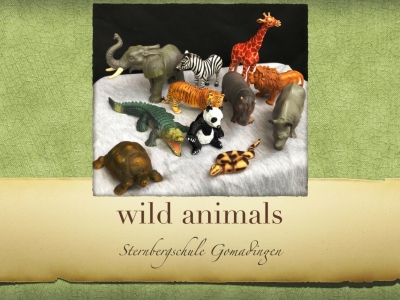 wild_animals.jpg